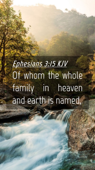 Picture 04 - Ephesians 3:15 KJV Mobile Phone Wallpaper - Of whom the whole family in heaven and earth is - Mobile Bible Verse Wallpaper