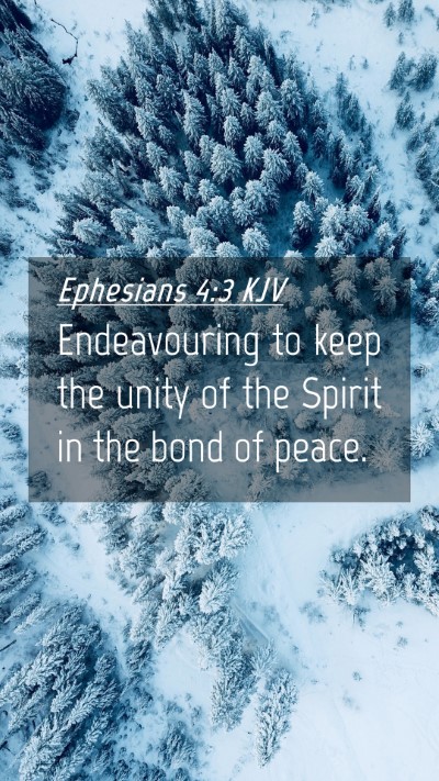 Picture 04 - Ephesians 4:3 KJV Mobile Phone Wallpaper - Endeavouring to keep the unity of the Spirit in - Mobile Bible Verse Wallpaper