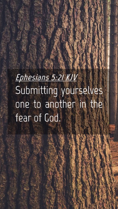 Picture 04 - Ephesians 5:21 KJV Mobile Phone Wallpaper - Submitting yourselves one to another in the fear - Mobile Bible Verse Wallpaper
