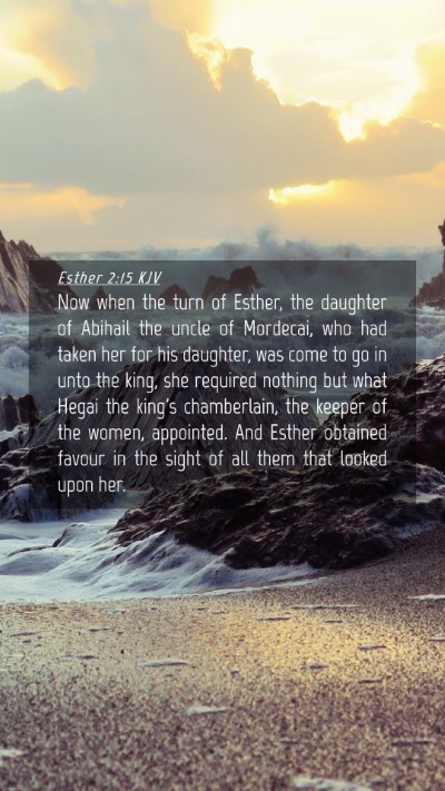 Picture 04 - Esther 2:15 KJV Mobile Phone Wallpaper - Now when the turn of Esther, the daughter of - Mobile Bible Verse Wallpaper