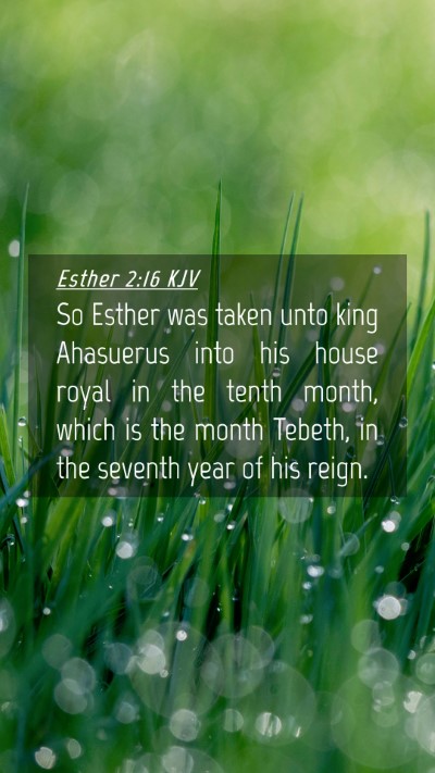 Picture 04 - Esther 2:16 KJV Mobile Phone Wallpaper - So Esther was taken unto king Ahasuerus into his - Mobile Bible Verse Wallpaper