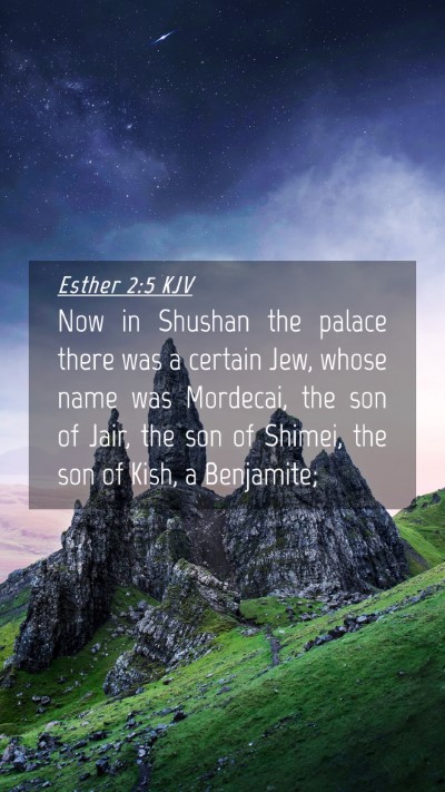 Picture 04 - Esther 2:5 KJV Mobile Phone Wallpaper - Now in Shushan the palace there was a certain - Mobile Bible Verse Wallpaper