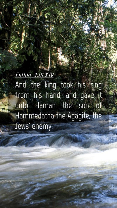 Picture 04 - Esther 3:10 KJV Mobile Phone Wallpaper - And the king took his ring from his hand, and - Mobile Bible Verse Wallpaper