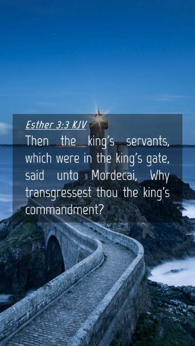 Picture 04 - Esther 3:3 KJV Mobile Phone Wallpaper - Then the king's servants, which were in the - Mobile Bible Verse Wallpaper