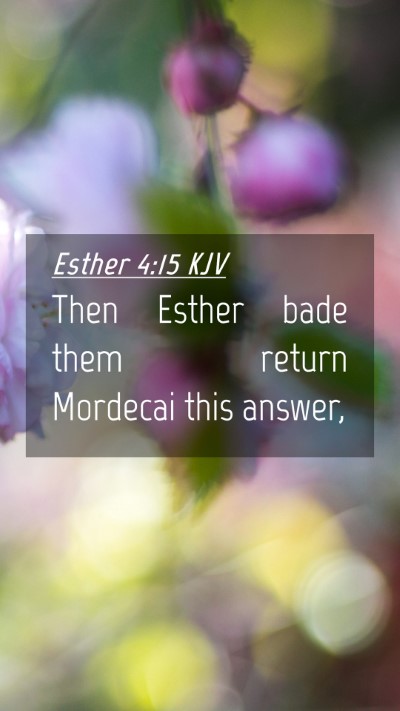 Picture 04 - Esther 4:15 KJV Mobile Phone Wallpaper - Then Esther bade them return Mordecai this - Mobile Bible Verse Wallpaper