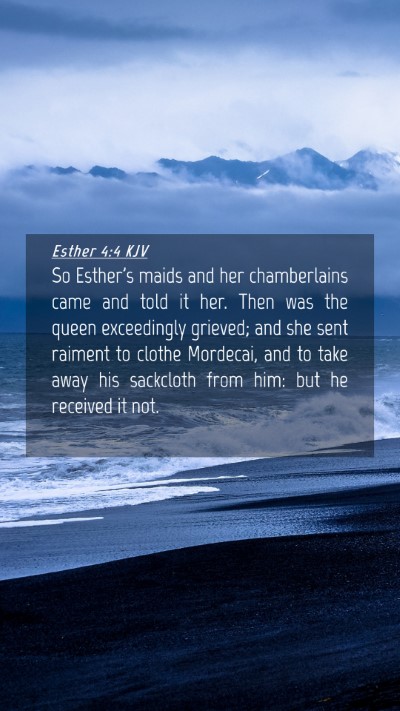 Picture 04 - Esther 4:4 KJV Mobile Phone Wallpaper - So Esther's maids and her chamberlains came and - Mobile Bible Verse Wallpaper