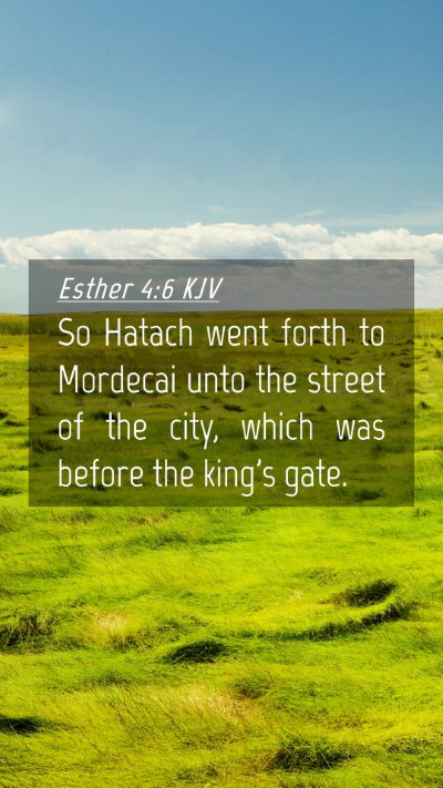 Picture 04 - Esther 4:6 KJV Mobile Phone Wallpaper - So Hatach went forth to Mordecai unto the street - Mobile Bible Verse Wallpaper