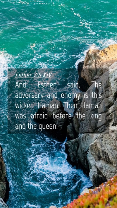 Picture 04 - Esther 7:6 KJV Mobile Phone Wallpaper - And Esther said, The adversary and enemy is this - Mobile Bible Verse Wallpaper