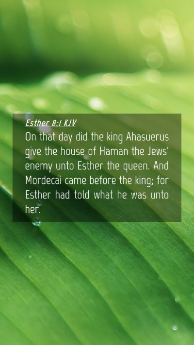 Picture 04 - Esther 8:1 KJV Mobile Phone Wallpaper - On that day did the king Ahasuerus give the house - Mobile Bible Verse Wallpaper