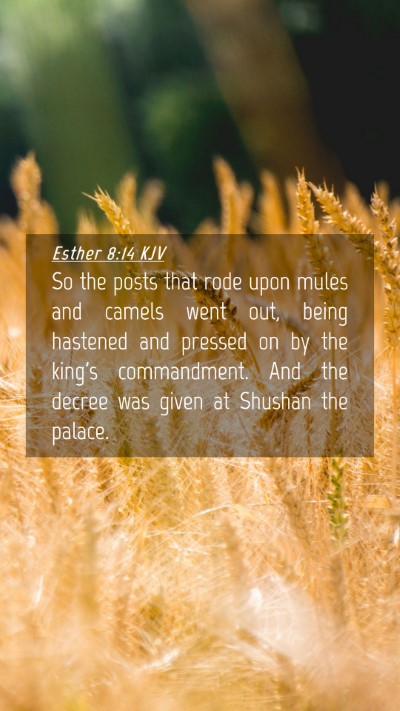 Picture 04 - Esther 8:14 KJV Mobile Phone Wallpaper - So the posts that rode upon mules and camels went - Mobile Bible Verse Wallpaper