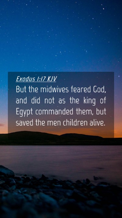 Picture 04 - Exodus 1:17 KJV Mobile Phone Wallpaper - But the midwives feared God, and did not as the - Mobile Bible Verse Wallpaper