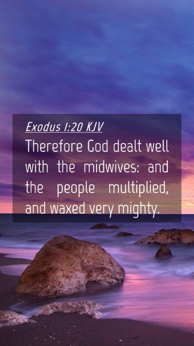 Picture 04 - Exodus 1:20 KJV Mobile Phone Wallpaper - Therefore God dealt well with the midwives: and - Mobile Bible Verse Wallpaper