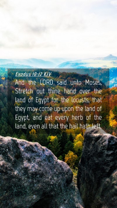 Picture 04 - Exodus 10:12 KJV Mobile Phone Wallpaper - And the LORD said unto Moses, Stretch out thine - Mobile Bible Verse Wallpaper
