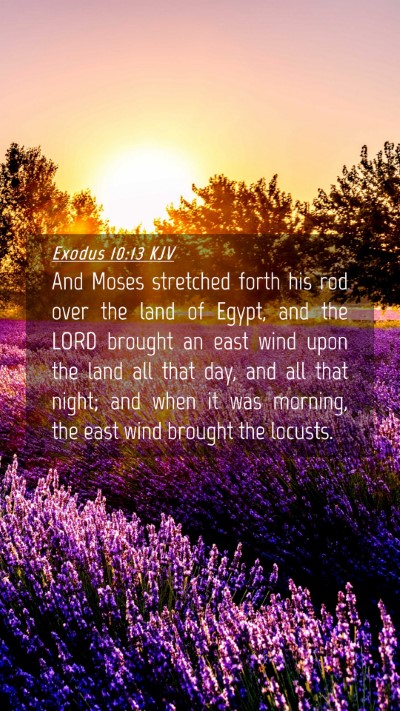 Picture 04 - Exodus 10:13 KJV Mobile Phone Wallpaper - And Moses stretched forth his rod over the land - Mobile Bible Verse Wallpaper