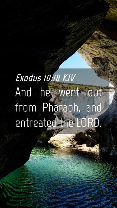 Picture 04 - Exodus 10:18 KJV Mobile Phone Wallpaper - And he went out from Pharaoh, and entreated the - Mobile Bible Verse Wallpaper