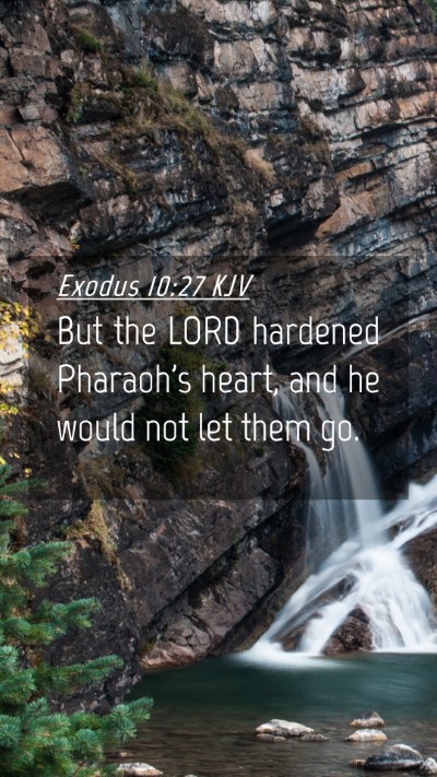 Picture 04 - Exodus 10:27 KJV Mobile Phone Wallpaper - But the LORD hardened Pharaoh's heart, and he - Mobile Bible Verse Wallpaper