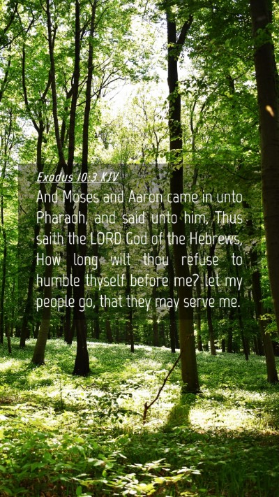 Picture 04 - Exodus 10:3 KJV Mobile Phone Wallpaper - And Moses and Aaron came in unto Pharaoh, and - Mobile Bible Verse Wallpaper
