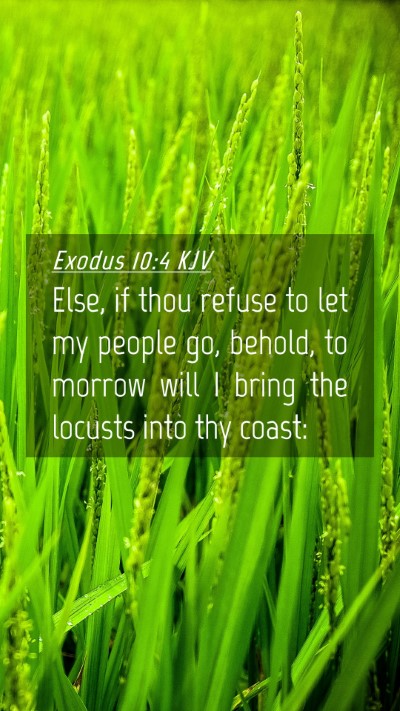 Picture 04 - Exodus 10:4 KJV Mobile Phone Wallpaper - Else, if thou refuse to let my people go, behold, - Mobile Bible Verse Wallpaper