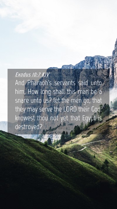 Picture 04 - Exodus 10:7 KJV Mobile Phone Wallpaper - And Pharaoh's servants said unto him, How long - Mobile Bible Verse Wallpaper