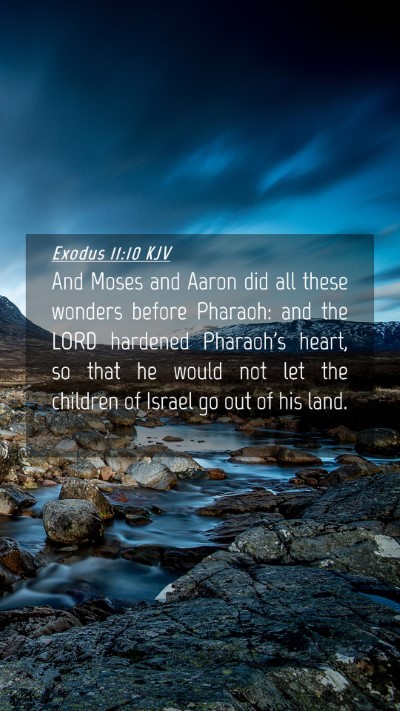 Picture 04 - Exodus 11:10 KJV Mobile Phone Wallpaper - And Moses and Aaron did all these wonders before - Mobile Bible Verse Wallpaper