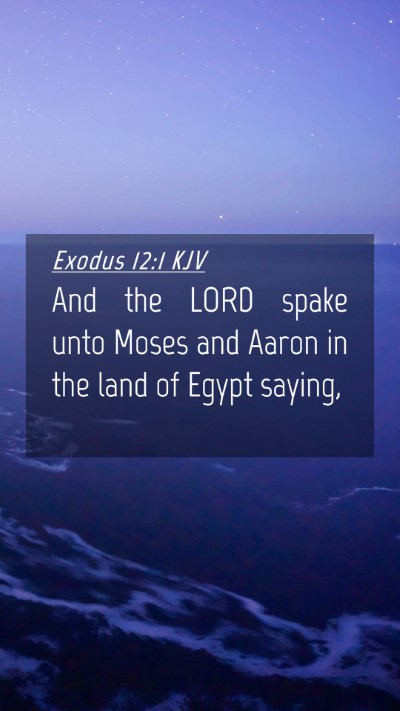 Picture 04 - Exodus 12:1 KJV Mobile Phone Wallpaper - And the LORD spake unto Moses and Aaron in the - Mobile Bible Verse Wallpaper