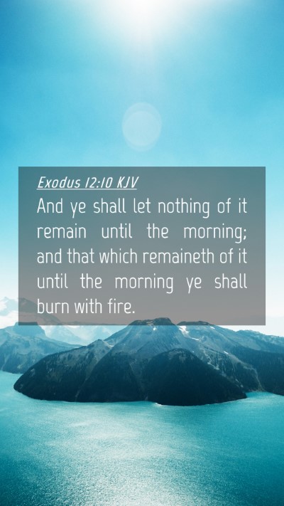 Picture 04 - Exodus 12:10 KJV Mobile Phone Wallpaper - And ye shall let nothing of it remain until the - Mobile Bible Verse Wallpaper