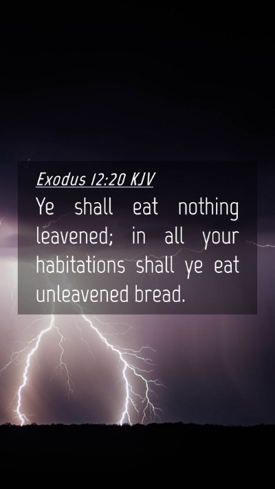 Picture 04 - Exodus 12:20 KJV Mobile Phone Wallpaper - Ye shall eat nothing leavened; in all your - Mobile Bible Verse Wallpaper