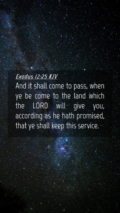 Picture 04 - Exodus 12:25 KJV Mobile Phone Wallpaper - And it shall come to pass, when ye be come to the - Mobile Bible Verse Wallpaper