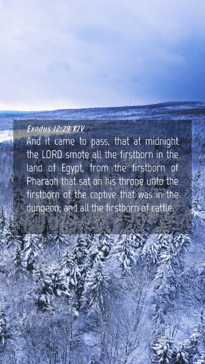 Picture 04 - Exodus 12:29 KJV Mobile Phone Wallpaper - And it came to pass, that at midnight the LORD - Mobile Bible Verse Wallpaper