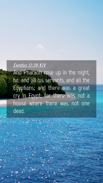 Picture 04 - Exodus 12:30 KJV Mobile Phone Wallpaper - And Pharaoh rose up in the night, he, and all his - Mobile Bible Verse Wallpaper