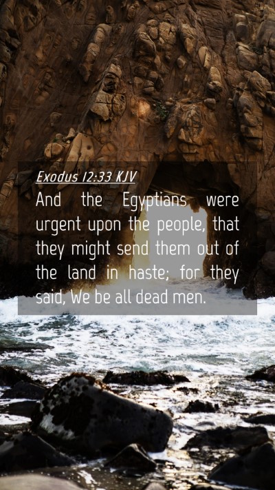 Picture 04 - Exodus 12:33 KJV Mobile Phone Wallpaper - And the Egyptians were urgent upon the people, - Mobile Bible Verse Wallpaper