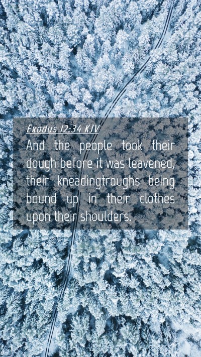 Picture 04 - Exodus 12:34 KJV Mobile Phone Wallpaper - And the people took their dough before it was - Mobile Bible Verse Wallpaper
