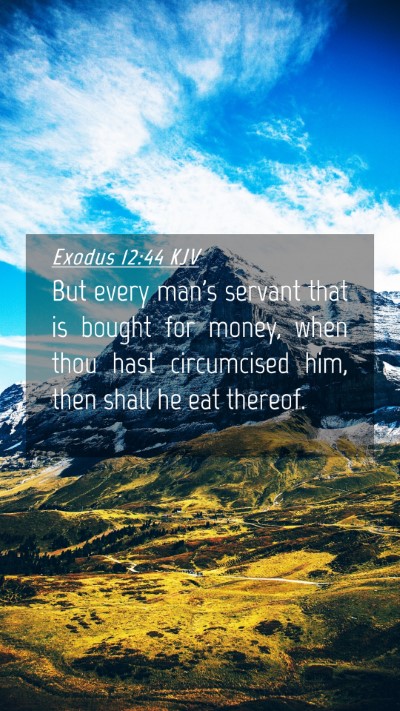 Picture 04 - Exodus 12:44 KJV Mobile Phone Wallpaper - But every man's servant that is bought for money, - Mobile Bible Verse Wallpaper