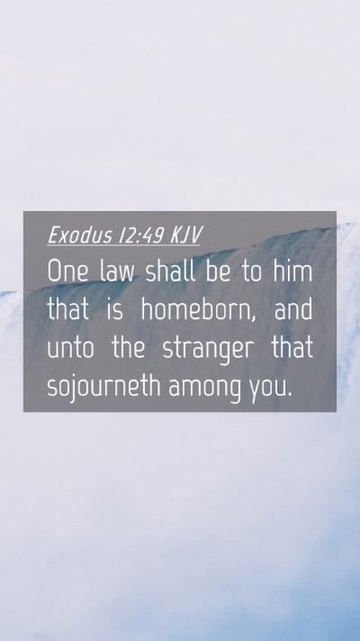 Picture 04 - Exodus 12:49 KJV Mobile Phone Wallpaper - One law shall be to him that is homeborn, and - Mobile Bible Verse Wallpaper