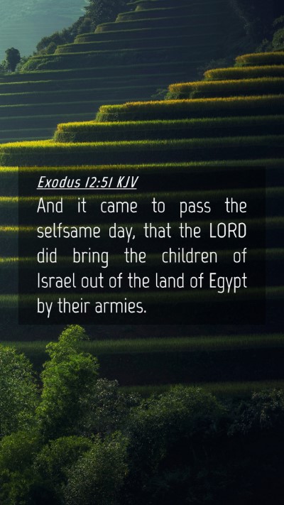 Picture 04 - Exodus 12:51 KJV Mobile Phone Wallpaper - And it came to pass the selfsame day, that the - Mobile Bible Verse Wallpaper