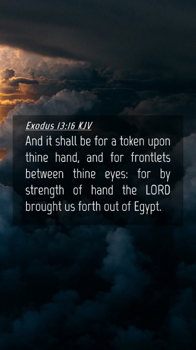 Picture 04 - Exodus 13:16 KJV Mobile Phone Wallpaper - And it shall be for a token upon thine hand, and - Mobile Bible Verse Wallpaper