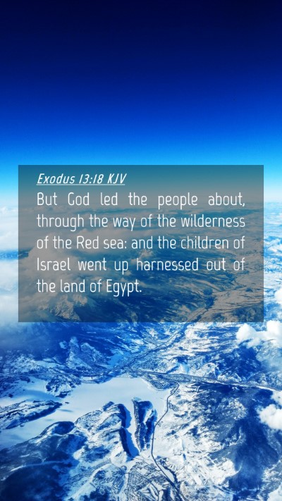 Picture 04 - Exodus 13:18 KJV Mobile Phone Wallpaper - But God led the people about, through the way of - Mobile Bible Verse Wallpaper