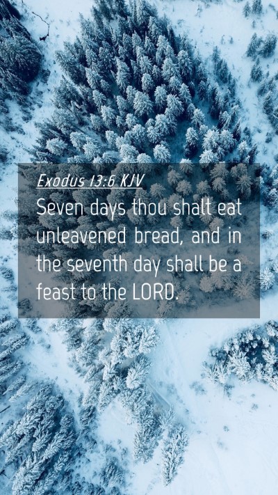 Picture 04 - Exodus 13:6 KJV Mobile Phone Wallpaper - Seven days thou shalt eat unleavened bread, and - Mobile Bible Verse Wallpaper
