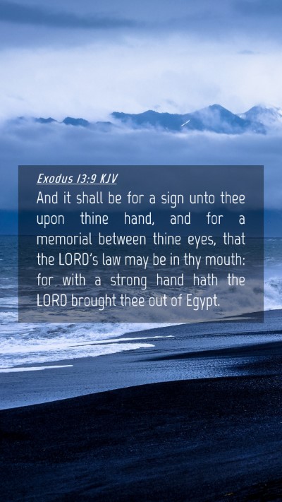 Picture 04 - Exodus 13:9 KJV Mobile Phone Wallpaper - And it shall be for a sign unto thee upon thine - Mobile Bible Verse Wallpaper