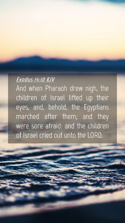Picture 04 - Exodus 14:10 KJV Mobile Phone Wallpaper - And when Pharaoh drew nigh, the children of - Mobile Bible Verse Wallpaper