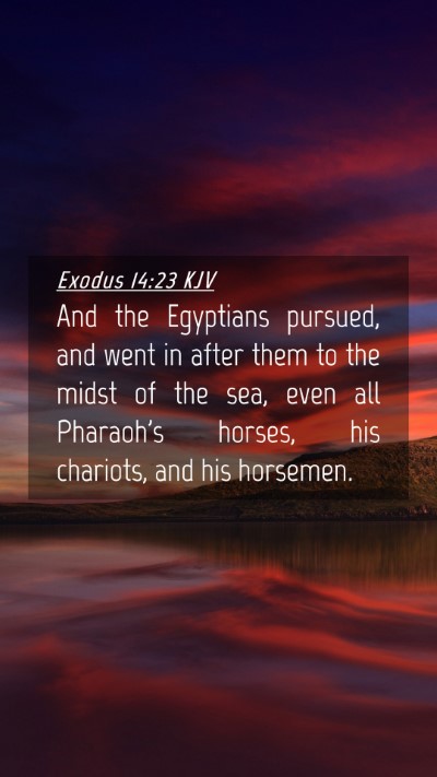 Picture 04 - Exodus 14:23 KJV Mobile Phone Wallpaper - And the Egyptians pursued, and went in after them - Mobile Bible Verse Wallpaper