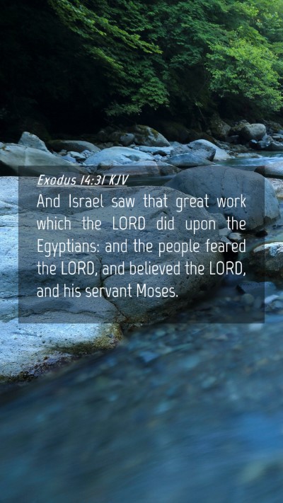 Picture 04 - Exodus 14:31 KJV Mobile Phone Wallpaper - And Israel saw that great work which the LORD did - Mobile Bible Verse Wallpaper