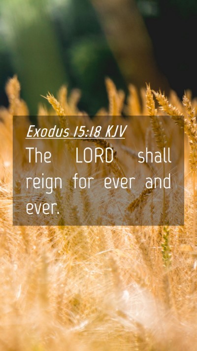 Picture 04 - Exodus 15:18 KJV Mobile Phone Wallpaper - The LORD shall reign for ever and - Mobile Bible Verse Wallpaper