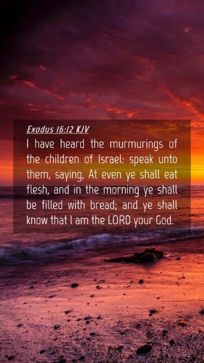 Picture 04 - Exodus 16:12 KJV Mobile Phone Wallpaper - I have heard the murmurings of the children of - Mobile Bible Verse Wallpaper