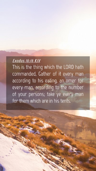 Picture 04 - Exodus 16:16 KJV Mobile Phone Wallpaper - This is the thing which the LORD hath commanded, - Mobile Bible Verse Wallpaper