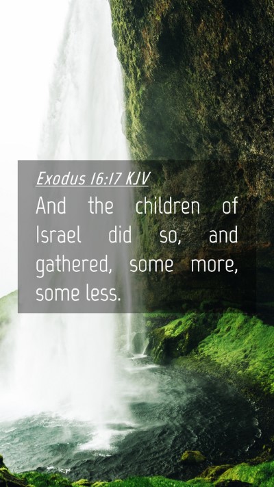 Picture 04 - Exodus 16:17 KJV Mobile Phone Wallpaper - And the children of Israel did so, and gathered, - Mobile Bible Verse Wallpaper