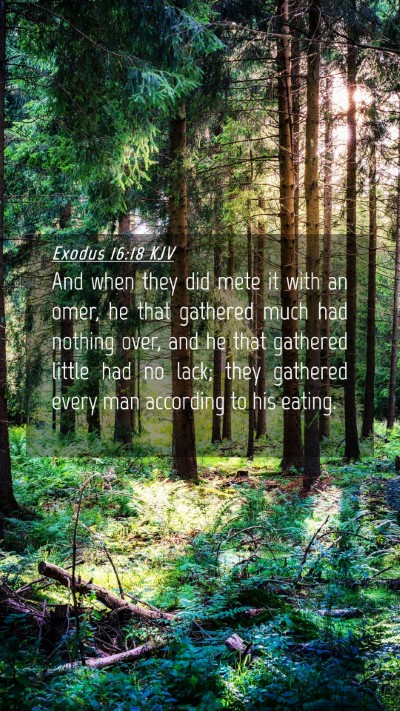 Picture 04 - Exodus 16:18 KJV Mobile Phone Wallpaper - And when they did mete it with an omer, he that - Mobile Bible Verse Wallpaper