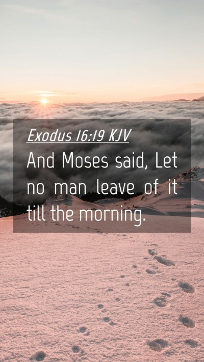 Picture 04 - Exodus 16:19 KJV Mobile Phone Wallpaper - And Moses said, Let no man leave of it till the - Mobile Bible Verse Wallpaper