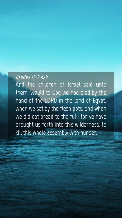 Picture 04 - Exodus 16:3 KJV Mobile Phone Wallpaper - And the children of Israel said unto them, Would - Mobile Bible Verse Wallpaper