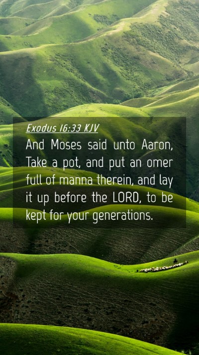 Picture 04 - Exodus 16:33 KJV Mobile Phone Wallpaper - And Moses said unto Aaron, Take a pot, and put an - Mobile Bible Verse Wallpaper